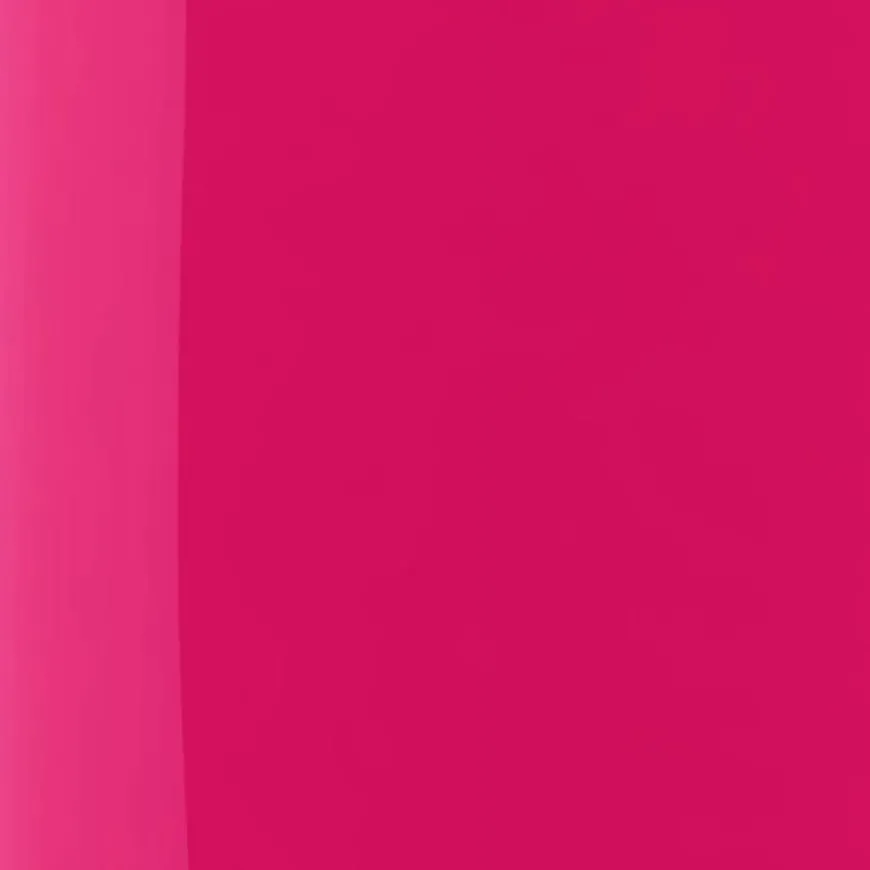 The Wonder Nail Polish Quick dry & Longwear 210 Proud Pink 5ml