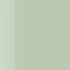 The Wonder Nail Polish Quick Dry & Longwear 146 Pale Sage 5ml