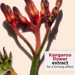 Total Eye Smooth 15ml