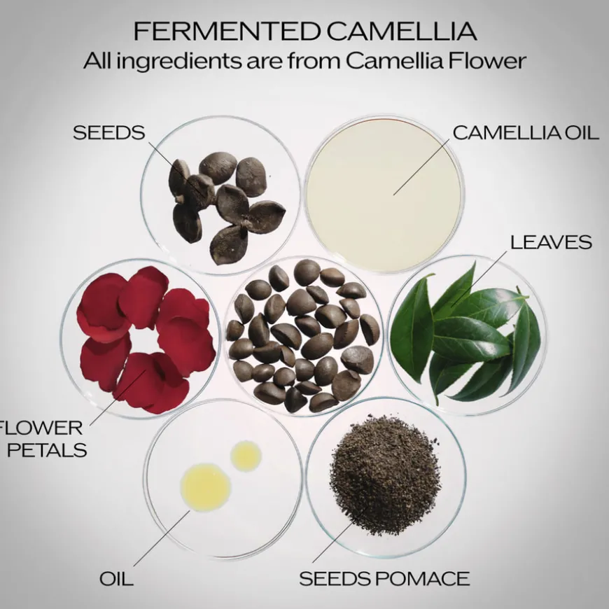 Ultimune Power Infusing Concentrate 4.0 75ml