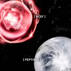 UV Cellular-Protect Anti-Aging Sunscreen Face SPF50+ 40ml