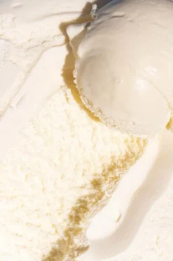 Vanilla Toothpaste 60g