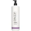 Violet Toning Shampoo 1000ml