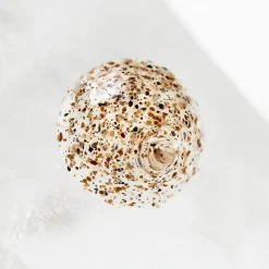 Volcanic Exfoliator 60ml