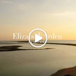 White Tea Eau De Parfum 100ml