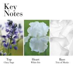 White Tea Eau De Toilette For Her 100ml