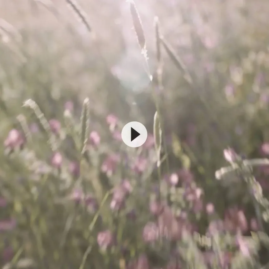 White Tea Eau Florale Eau De Toilette 30ml