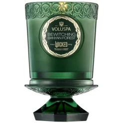 Wicked Bewitching Banyan Forest Boxed Candle 241g