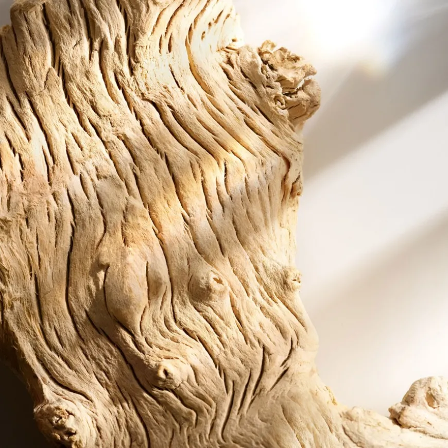 Wonderlust Eau De Parfum 50ml