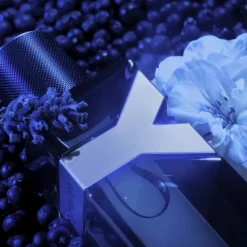 Y Eau De Parfum Intense 60ml