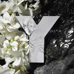 Y Eau De Toilette 60ml