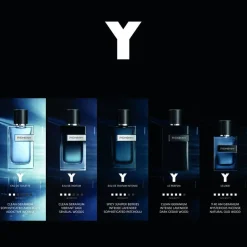 Y L'Elixir 60ml