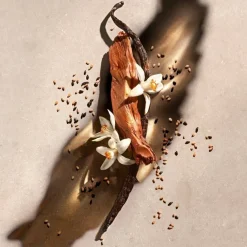 ZADIG Eau De Parfum 50ml